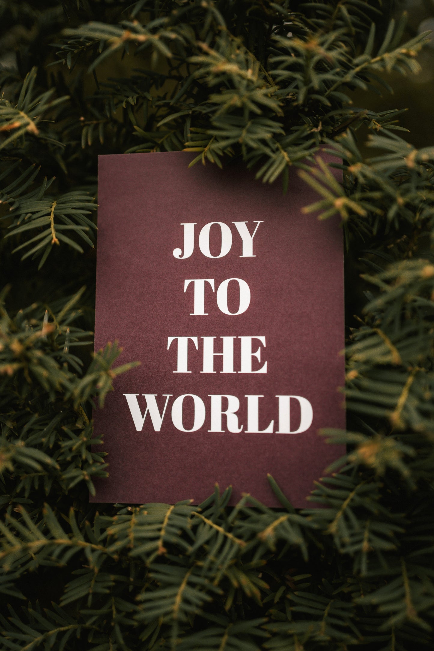 Joy To The World – Postkarte