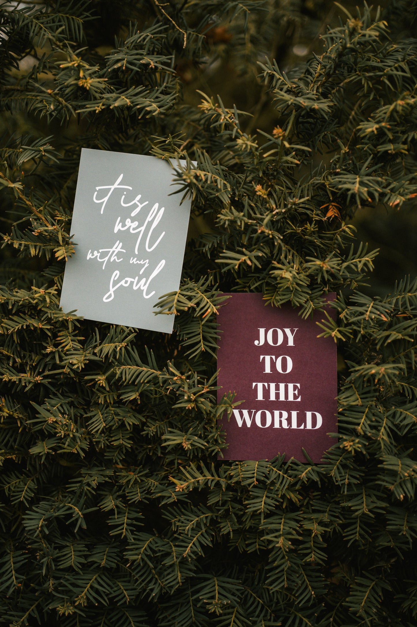 Joy To The World – Postkarte